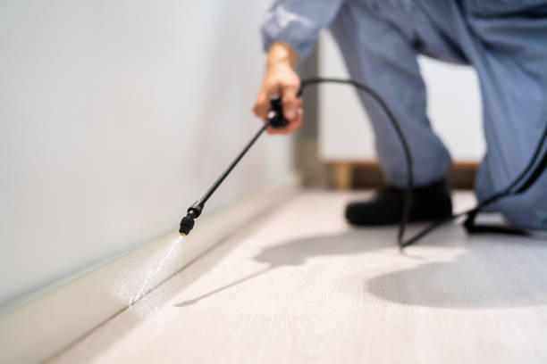 Bed Bug Pre-Treatment Preparation Assessment in El Paso de Robles