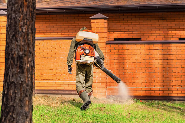 Bed Bug Clearance Verification and Documentation in El Paso de Robles